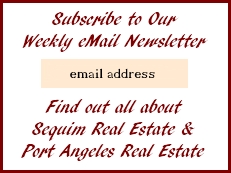 Subscription Newsletter