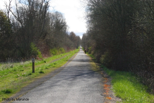 Running in Sequim