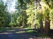 sequim_land_for_sale