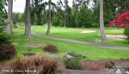 Sequim Golf Archives Sequim Real Estate in Sunny Sequim Washington