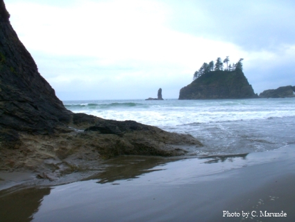 La Push