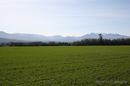 Sequim Mountains