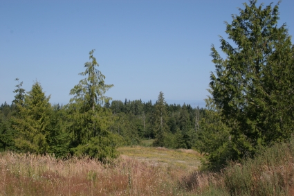 Sequim Land for Sale