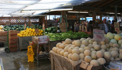 Sunny Farms in Sequim