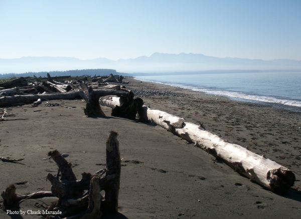 Sequim Dungeness Lighthouse