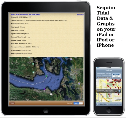 Sequim Tides