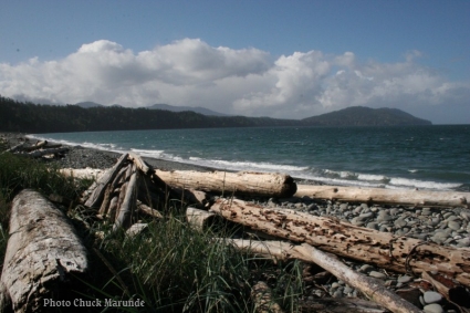 Port Angeles Surfing