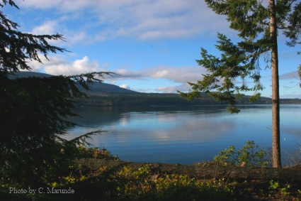 Sequim Waterfront