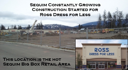 Sequim Dress for Less