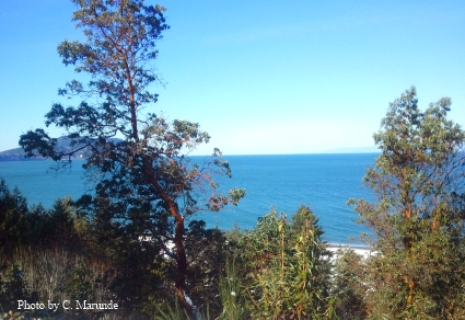 Port Angeles Water View