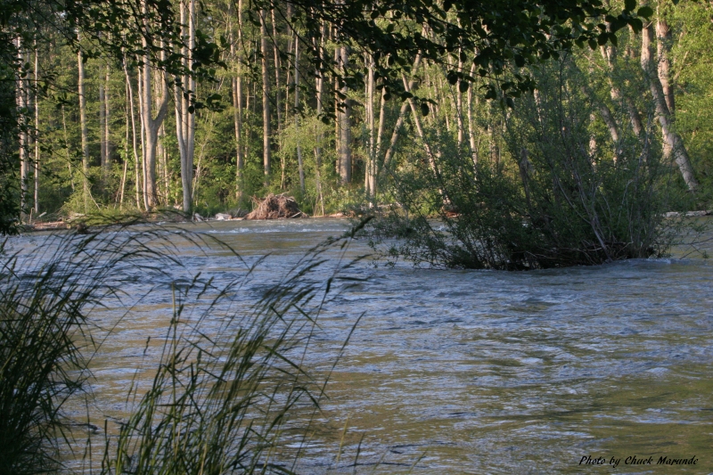 Dungeness River