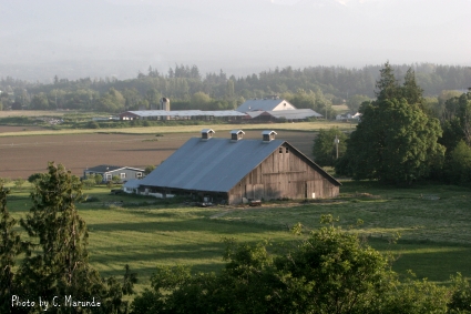 Sequim Weather