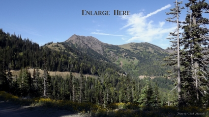 Hurricane-Ridge-Park