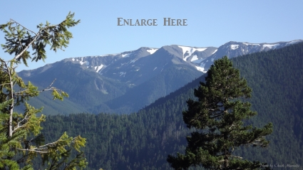 Hurricane-Ridge-Hiking