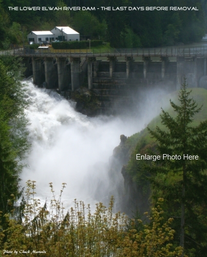 Elwah Dam