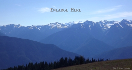 Hurricane Ridge