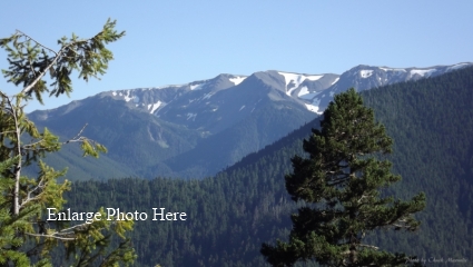 Hurricane Ridge