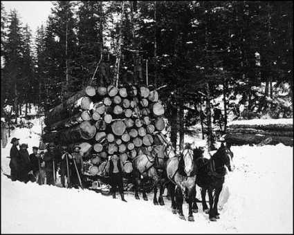 Logging in Forks