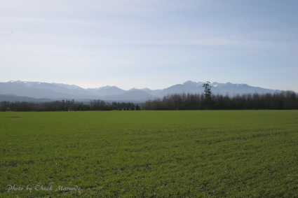 Sequim Land for Sale