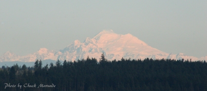 Sequim Mountain View