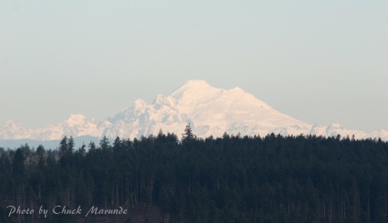 Mount Baker