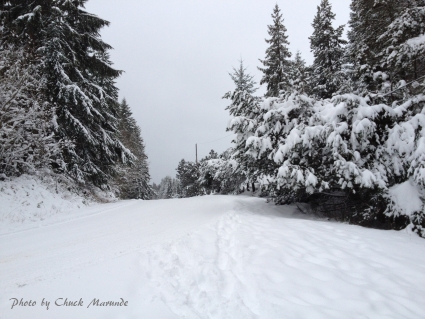 Sequim Weather