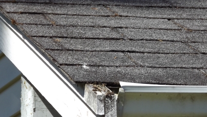 Roof Replacement