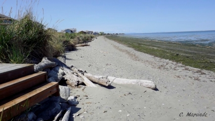 Sequim Water Front Property