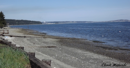Sequim waterfront property