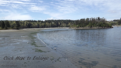 Sequim Waterfront