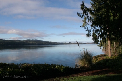 gorgeous sequim waterfront property