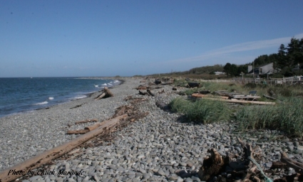 Sequim Beach Property