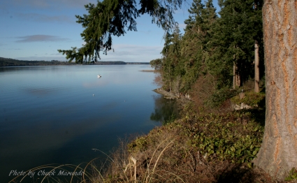 Sequim Water Views