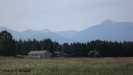 Sequim Land for Sale