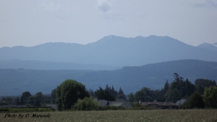 Sequim Land with Mountain View