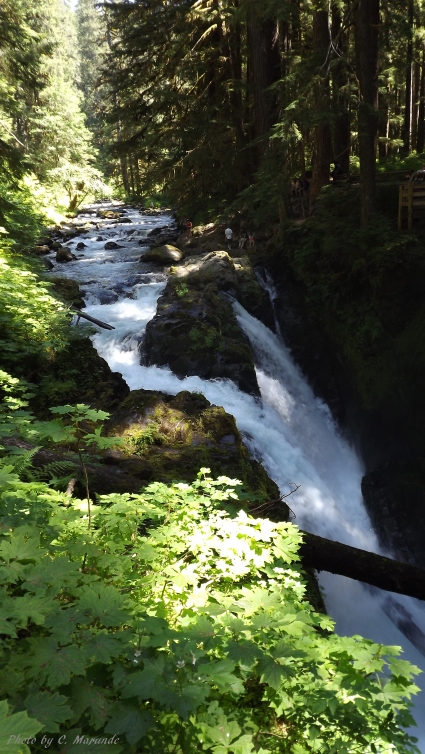 Sol Duc Falls