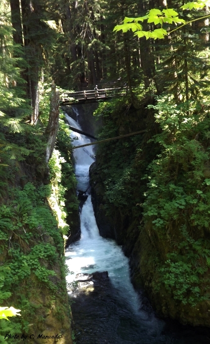 Sol Duc