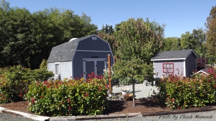 The Perfect Sequim Garden