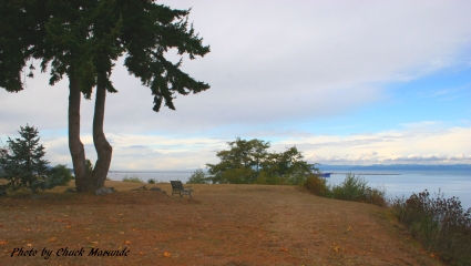 Port Angeles Waterfront Home for Sale on High Bluff