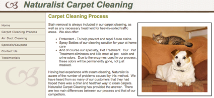 Sequim Carpet Cleaner