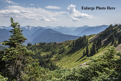 Hurricane Ridge