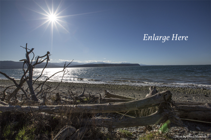 Sequim Beaches