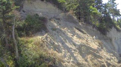 Sequim Bluffs