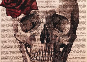 print newspapers