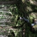 Protect Yourself From Water Drainage and Water Trespass