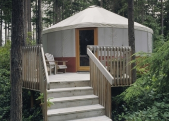 The Past Dwells in the Future