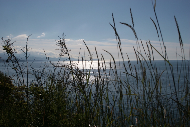 Sequim Waterfront