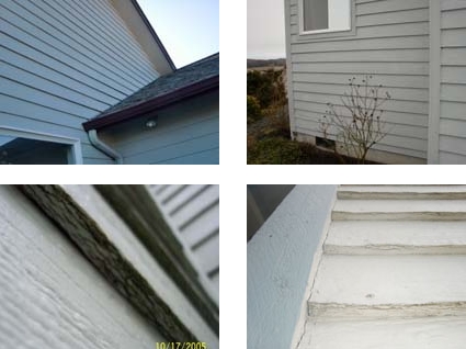 When Your Siding Is A Problem Lp Smartside Evolution Wrightway