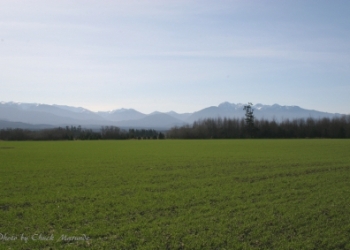 Sequim Land for Sale