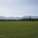 Sequim Land for Sale